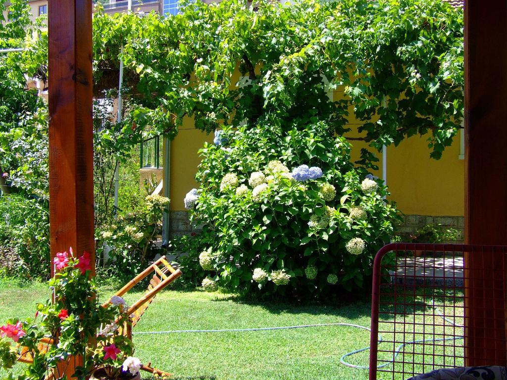 Holiday Home Vesna Budva Cameră foto